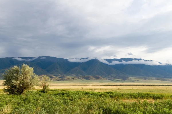 Steppe and mountains Royalty Free Stock Images