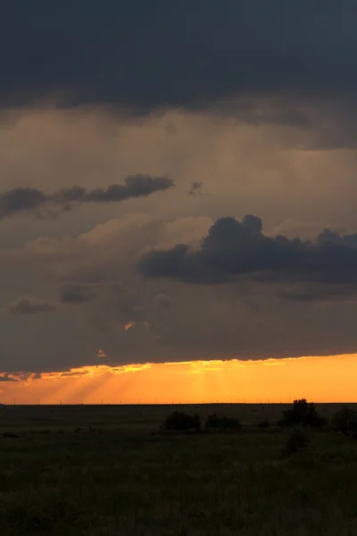 曇りの天候で砂漠の夕日 — ストック写真