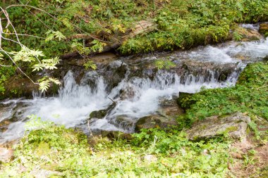 eşik bir dağ dere üzerinde