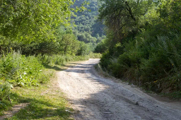 Strada di montagna — Foto Stock