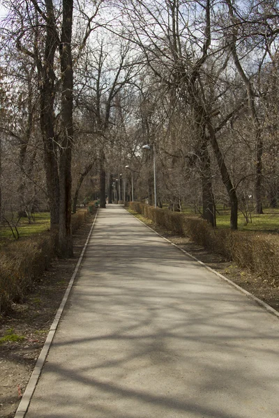 Central Park'ta sokak — Stok fotoğraf