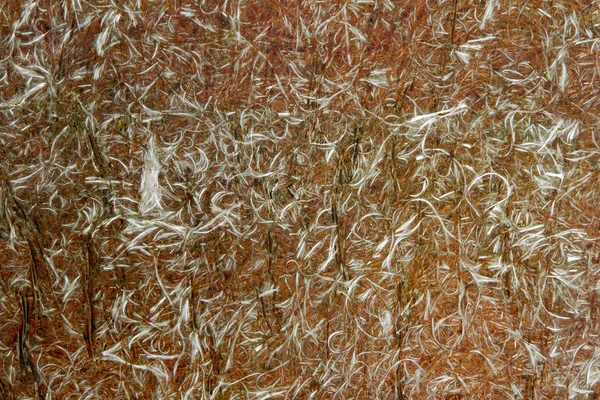 Texture delle fibre — Foto Stock