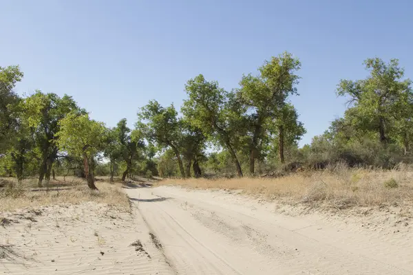 Дорога в пустыне среди песков — стоковое фото