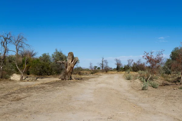 Strada attraverso la steppa — Foto Stock