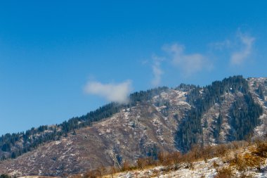 Trans-ili alatau Dağları