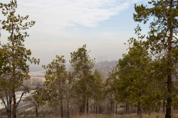 Smog in de stad — Stockfoto