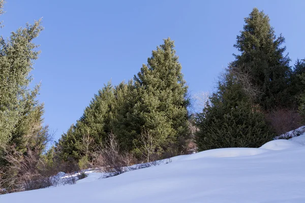 Winter in de bergen — Stockfoto