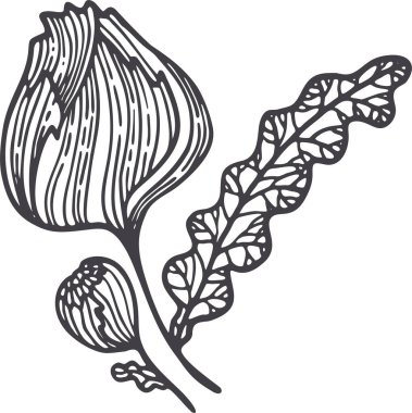 Flower contour vector in sketch style. Elegant decoration. Silhouette vector.