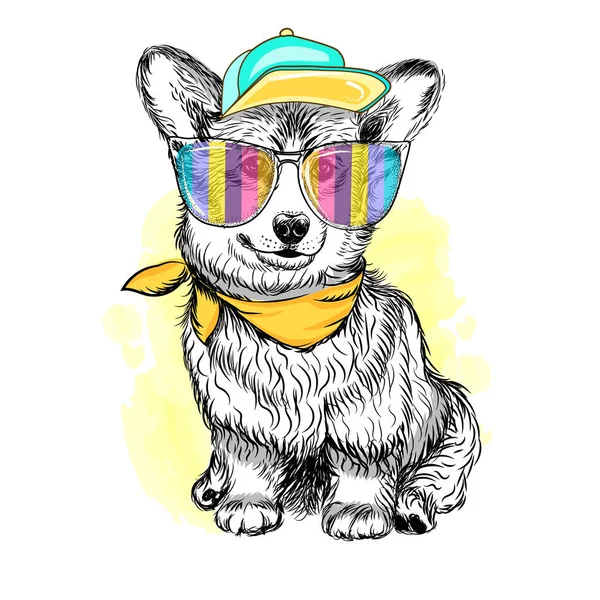 科吉小狗 戴着彩虹色眼镜 墙上的贴纸 白色背景上的科吉小狗的图画 艺术的 彩色的肖像 — 图库矢量图片