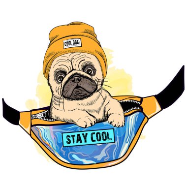 Sarı bel çantalı sevimli pug dog çizimi. Havalı köpek. Sakin harflerle yaz.