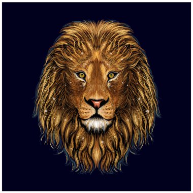 Aslan. Siyah bir arkaplanda ileriye bakan bir aslanın renk, grafik, el çizimi portresi. Kral başı siyah arkaplanda izole edildi.