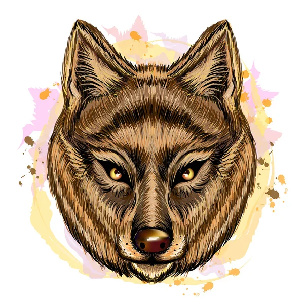 Wolf Color Graphic Hand Drawn Portrait Cute Wolf Looking Ahead — 图库矢量图片