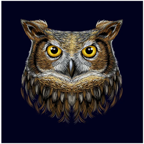 Owl Color Graphic Hand Drawn Portrait Owl Looking Ahead Black — Stock Vector