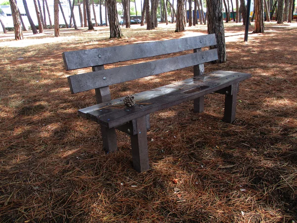 Pinecone sur le banc a — Photo