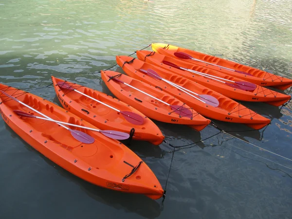 Sechs orangefarbene Kanus mit Rudern a — Stockfoto