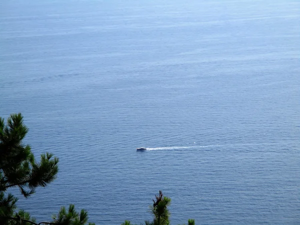 Motor boat that leaves a white trail on water — Stock Photo, Image