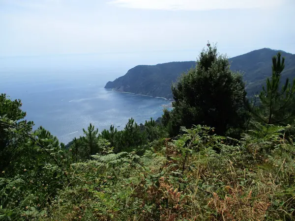 Vista dall'alto del golfo di 5 Terre c — Foto Stock