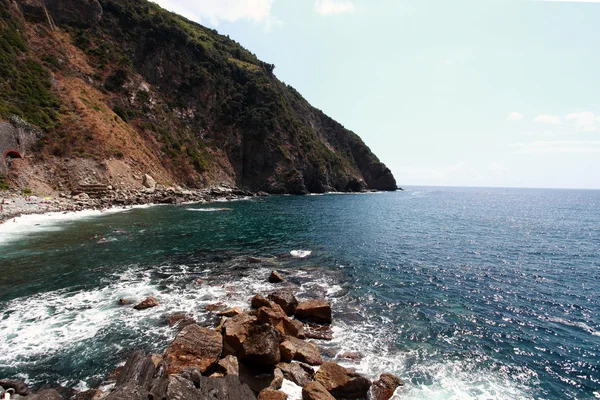 Uitzicht op zee en kliffen in riomaggiore g — Stockfoto