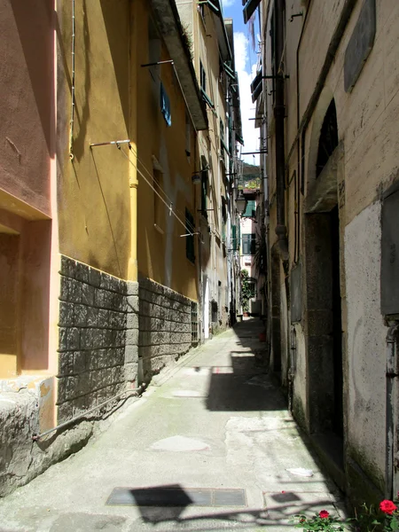 Vista das ruelas da aldeia de Riomaggiore d — Fotografia de Stock