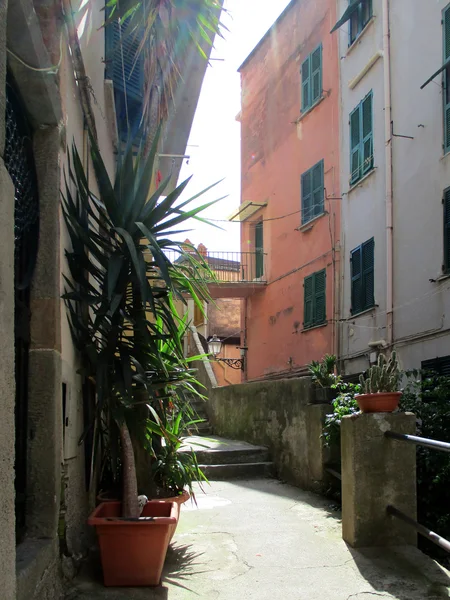 Vista de los callejones del pueblo de Riomaggiore b — Foto de Stock