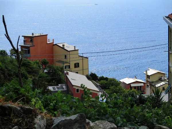 Riomaggiore köy sokakları görüntülemek — Stok fotoğraf