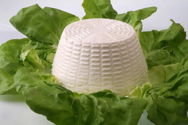 Frischkäse auf Salatbeet — Stockfoto