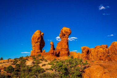 Utah, Arches Ulusal Parkı 'ndaki Cennet Bahçesi