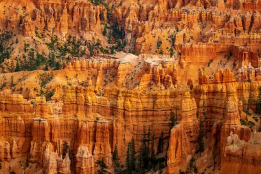 Bryce Amfitiyatrosunda haydutlar, Bryce Canyon Ulusal Parkı, Utah