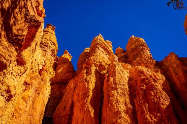 Bryce Amfitiyatrosunda haydutlar, Bryce Canyon Ulusal Parkı, Utah