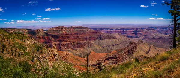 Národní Park Grand Canyon North Rim Point Imperial — Stock fotografie