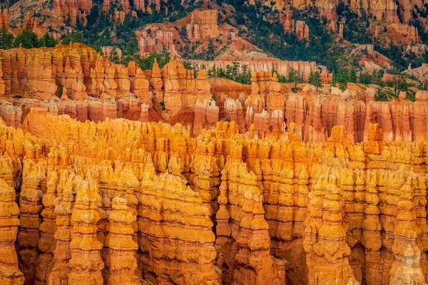 Hoodoos Bryce Amphitheater Bryce Canyon National Park Utah — Fotografia de Stock