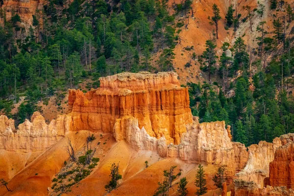 Hoodoos Bryce Amphitheater Bryce Canyon Nationalpark Utah — Stockfoto