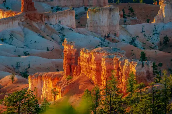 Hoodoos Bryce Amphitheater Bryce Canyon National Park Utah — Fotografia de Stock