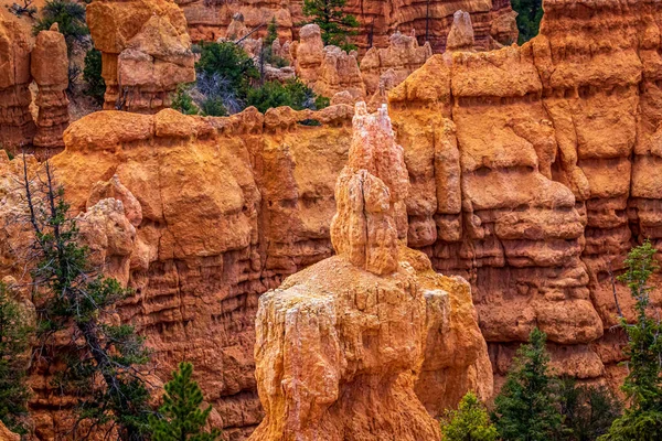Hoodoos Bryce Amphitheater Bryce Canyon National Park Utah — Fotografia de Stock