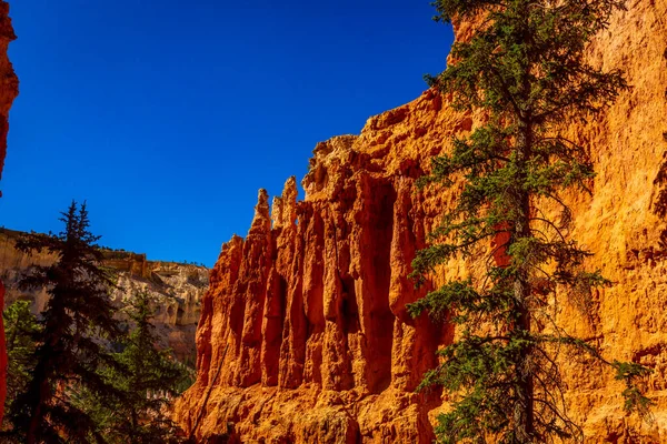 Hoodoos Bryce Hebhytheater Bryce Canyon National Park Utah — стоковое фото