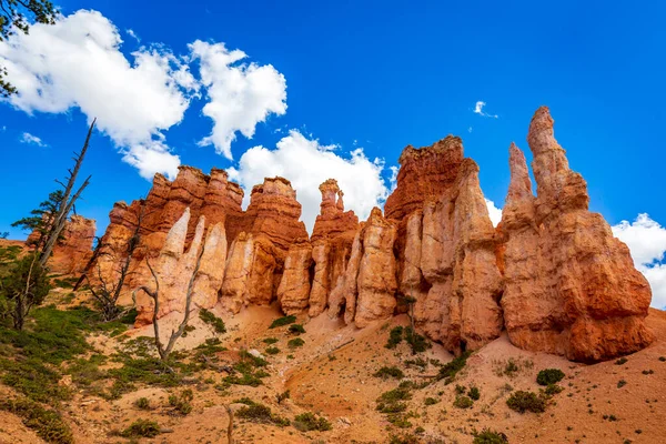 Hoodoos Bryce Amphitheater Bryce Canyon Nationalpark Utah — Stockfoto