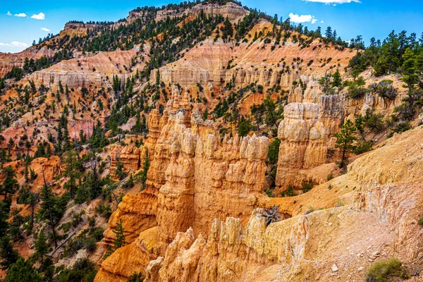 Hoodoos Bryce Amfiteátrumban Bryce Canyon Nemzeti Park Utah — Stock Fotó