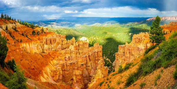 Hoodoos Ponderosa Canyon Bryce Canyon Nemzeti Park Utah — Stock Fotó