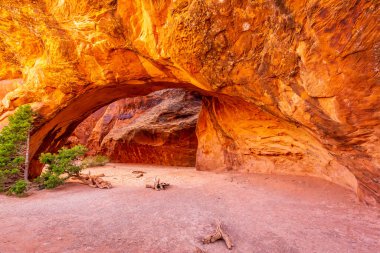 Navajo Kemeri Şeytanın Bahçesinde, Arches Ulusal Parkı, Utah