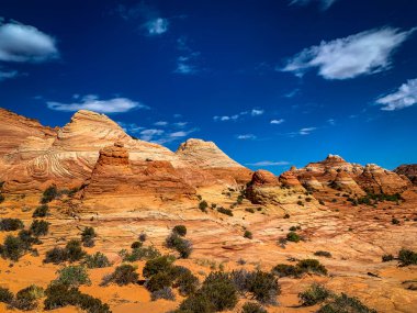 Coyote Butte North, Arizona 'da bulunan kum taşı oluşumları