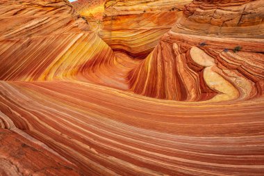Dalga, Coyote Buttes, Arizona 'da bulunan ve rengarenk ve dalgalı şekilleriyle bilinen ünlü bir kum taşı formasyonudur.