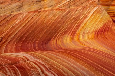 Dalga, Coyote Buttes, Arizona 'da bulunan ve rengarenk ve dalgalı şekilleriyle bilinen ünlü bir kum taşı formasyonudur.