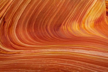 Dalga, Coyote Buttes, Arizona 'da bulunan ve rengarenk ve dalgalı şekilleriyle bilinen ünlü bir kum taşı formasyonudur.