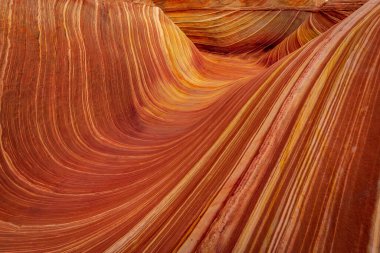 Dalga, Coyote Buttes, Arizona 'da bulunan ve rengarenk ve dalgalı şekilleriyle bilinen ünlü bir kum taşı formasyonudur.