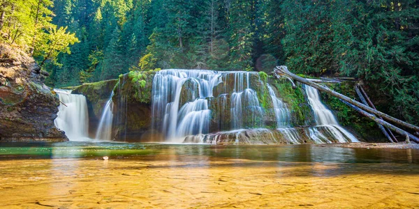 Lower Lewis Falls Gifford Pinchot National Forest Washington — Stock fotografie