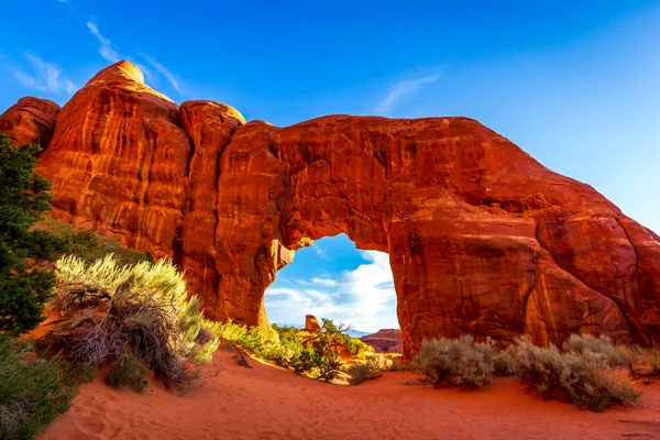 Borovicový Oblouk Ďáblově Zahradě Národní Park Arches Utah — Stock fotografie