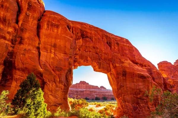 Pine Tree Arch Devil Garden Arches National Park Utah — Stock Photo, Image