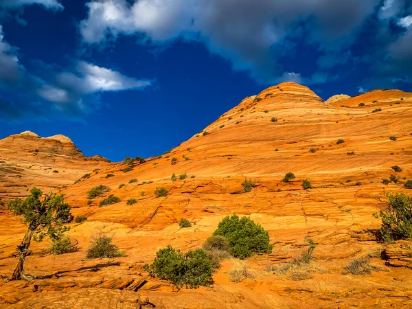 Sandsteinfelsformationen Coyote Butte North Arizona — Stockfoto