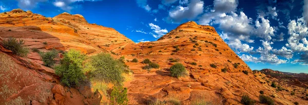 Sandsteinfelsformationen Coyote Butte North Arizona — Stockfoto