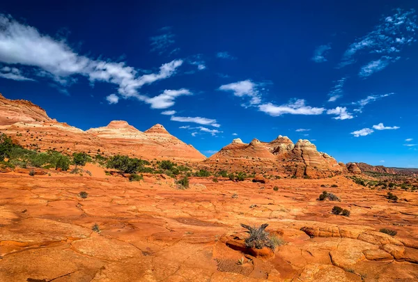 Sandsteinfelsformationen Coyote Butte North Arizona — Stockfoto